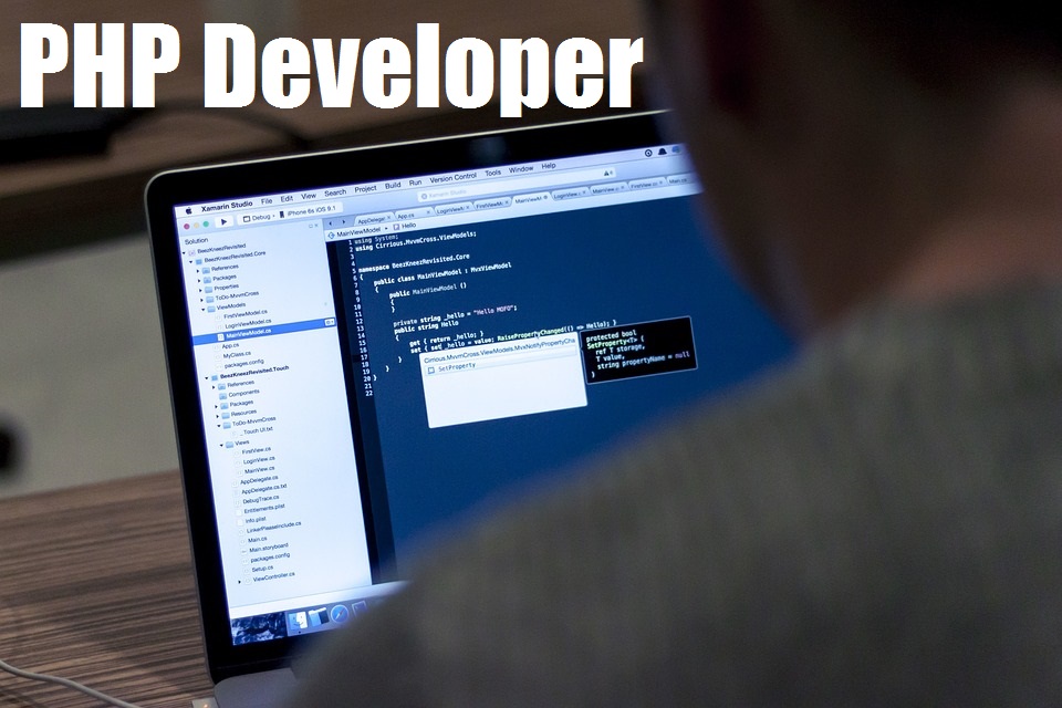 php developer